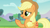 Size: 1920x1080 | Tagged: safe, screencap, applejack, earth pony, pony, g4, the mane attraction, female, mare, solo