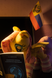 Size: 3084x4585 | Tagged: safe, fluttershy, pegasus, pony, g4, book, clothes, cyrillic, flag, irl, photo, plushie, reading, russia, russian, socks, spread wings, striped socks, wings