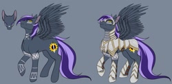 Size: 1472x716 | Tagged: safe, artist:lunaonyx, oc, oc only, oc:lucid dreams, pegasus, pony, armor, cutie mark, male, pegasus oc, reference sheet, royal guard, royal guard armor, solo, stallion, tribal, wings, yellow eyes