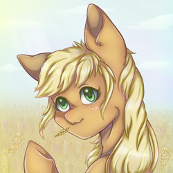 Size: 1400x1400 | Tagged: safe, artist:saltyvity, applejack, earth pony, pony, g4, :3, blushing, food, hatless, loose hair, missing accessory, raised hoof, solo, straw in mouth, underhoof, wheat
