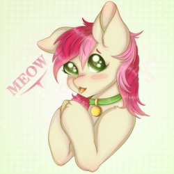 Size: 900x900 | Tagged: safe, artist:saltyvity, roseluck, earth pony, pony, g4, behaving like a cat, blushing, collar, female, mare, pony pet, rosepet, solo, tongue out