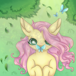 Size: 900x900 | Tagged: safe, artist:saltyvity, fluttershy, butterfly, pegasus, pony, g4, butterfly on nose, cute, female, insect on nose, leaves, mare, shyabetes