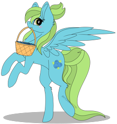 Size: 5207x5489 | Tagged: safe, artist:kireiinaa, oc, oc only, oc:blueberry skies, pegasus, pony, absurd resolution, basket, female, mare, mouth hold, simple background, solo, transparent background