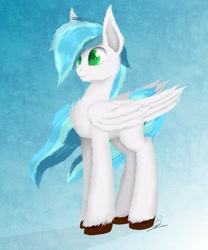 Size: 3413x4096 | Tagged: safe, artist:aorkamon, artist:benzayngcup, oc, oc only, pegasus, pony, solo