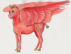 Size: 2000x1516 | Tagged: safe, artist:lady-limule, oc, oc only, pegasus, pony, colored hooves, horseshoes, male, pegasus oc, reference sheet, smiling, solo, stallion, starry eyes, story included, traditional art, wingding eyes, wings