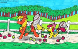 Size: 1280x812 | Tagged: safe, artist:artistnjc, apple bloom, applejack, earth pony, pony, g4, going to seed, apple, apple tree, bag, bedroll, butterfly net, food, saddle bag, smiling, sweet apple acres, tree, trotting