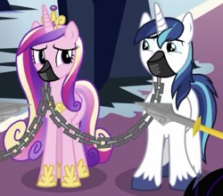 Size: 595x523 | Tagged: safe, screencap, princess cadance, shining armor, pony, g4, the beginning of the end, chains, cropped, duo, gag, help us, muzzle, muzzle gag, worried