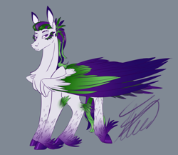 Size: 2300x2000 | Tagged: safe, artist:crystalcontemplator, oc, oc only, pegasus, pony, chest fluff, colored hooves, feathered fetlocks, gray background, high res, pegasus oc, signature, simple background, solo, unshorn fetlocks, wings