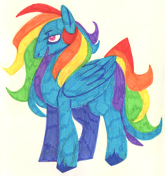 Size: 952x1012 | Tagged: safe, artist:0lijmazz, rainbow dash, pegasus, pony, g4, alternate design, female, mare, marker drawing, solo, traditional art