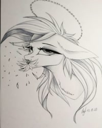 Size: 1080x1350 | Tagged: safe, artist:_quantumness_, oc, oc only, earth pony, pony, bedroom eyes, bust, earth pony oc, floppy ears, flower, makeup, monochrome, mouth hold, signature, solo, traditional art
