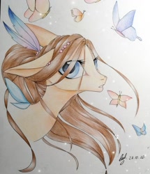 Size: 1080x1256 | Tagged: safe, artist:_quantumness_, oc, oc only, butterfly, earth pony, pony, bust, earth pony oc, floppy ears, signature, solo, traditional art