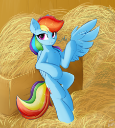 Size: 1800x2000 | Tagged: safe, artist:d.w.h.cn, rainbow dash, pegasus, pony, semi-anthro, g4, arm hooves, bipedal, bipedal leaning, chest fluff, concave belly, dialogue, ear fluff, eye clipping through hair, feathered wings, female, hay, leaning, mare, slender, smiling, solo, spread wings, talking to viewer, thin, waving, wing gesture, wing wave, wings