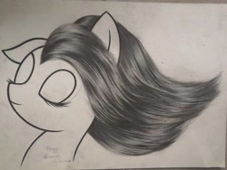 Size: 1440x1080 | Tagged: safe, artist:henry forewen, oc, oc only, pony, bust, monochrome, sketch, solo, traditional art