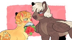 Size: 1280x724 | Tagged: safe, artist:mylittlegami, dumbbell, feather bangs, earth pony, pegasus, pony, g4, blushing, bouquet, crack shipping, dumbbangs, flower, gay, looking at you, male, missing cutie mark, mouth hold, rose, shipping, size difference, stallion