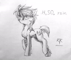 Size: 2572x2176 | Tagged: safe, artist:ktk's sky, oc, oc only, oc:h2so4 rain, earth pony, pony, black and white, grayscale, high res, male, monochrome, photo, solo