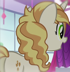 Size: 1060x1080 | Tagged: safe, screencap, sweet biscuit, pony, unicorn, canterlot boutique, g4, butt, cropped, female, mare, plot, solo