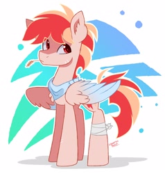 Size: 2000x2100 | Tagged: safe, artist:liquorice_sweet, oc, oc only, oc:red thunder, pegasus, pony, abstract background, bandage, high res, solo