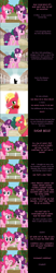 Size: 2000x9679 | Tagged: safe, artist:mlp-silver-quill, big macintosh, pinkie pie, sugar belle, earth pony, pony, unicorn, comic:pinkie pie says goodnight, g4, comic, female, flower, flower in mouth, male, mouth hold, rose, rose in mouth, ship:sugarmac, shipping, straight, sweet apple acres