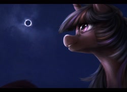 Size: 2400x1750 | Tagged: safe, artist:ventious, twilight sparkle, alicorn, pony, g4, chromatic aberration, eclipse, irl, letterboxing, low angle, mixed media, photo, selfie, solar eclipse, solo, twilight sparkle (alicorn)