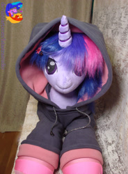 Size: 2257x3072 | Tagged: safe, artist:1stastrastudio, twilight sparkle, pony, g4, clothes, high res, hoodie, irl, photo, plushie, solo