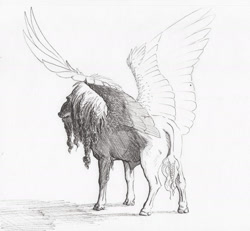 Size: 2000x1849 | Tagged: safe, artist:lady-limule, oc, oc only, pegasus, pony, grayscale, inktober 2017, male, monochrome, pegasus oc, solo, stallion, traditional art, wings