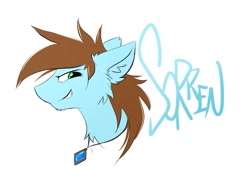 Size: 1043x783 | Tagged: safe, artist:kejifox, oc, oc only, oc:sorren, pony, bust, cheek fluff, jewelry, necklace