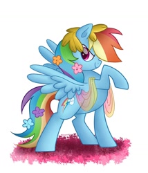 Size: 1280x1494 | Tagged: safe, artist:neondromeda, rainbow dash, pegasus, pony, female, flower, flower in hair, mare, raised hoof, simple background, solo, white background