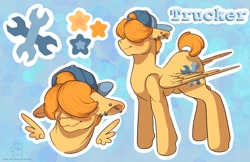 Size: 1122x726 | Tagged: safe, artist:roseandcompany, oc, oc:trucker, pegasus, pony, backwards hat, cutie mark, piercing, reference sheet