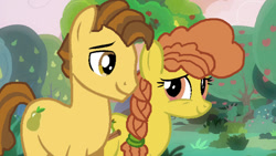 Size: 640x361 | Tagged: safe, artist:bigpurplemuppet99, cinnamon pear, grand pear, earth pony, pony, g4, braid, female, husband and wife, male, pear family member, ship:grandcinnamon, shipping, straight