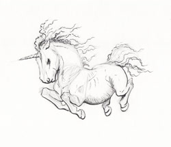 Size: 2000x1719 | Tagged: safe, artist:lady-limule, oc, oc only, pony, unicorn, horn, inktober 2017, lineart, male, monochrome, solo, stallion, traditional art, unicorn oc