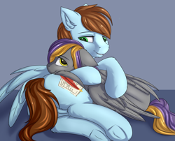 Size: 3100x2500 | Tagged: source needed, useless source url, safe, artist:snowstormbat, oc, oc only, oc:sinrar, oc:sorren, pegasus, pony, butt, cuddling, duo, duo male, feathered wings, frog (hoof), high res, hug, male, not gay, pegasus oc, plot, simple background, smiling, stallion, underhoof, wings