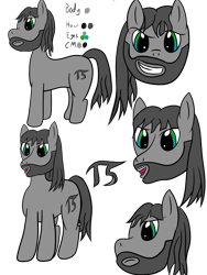 Size: 1500x2000 | Tagged: safe, artist:kickassking, oc, oc only, oc:perigrim pi, pony, beard, facial hair, pencil drawing, simple background, solo, traditional art, transparent background