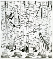 Size: 1448x1595 | Tagged: safe, artist:weird--fish, oc, oc only, pony, zebra, birch tree, grayscale, monochrome, solo, traditional art, tree, watercolor painting