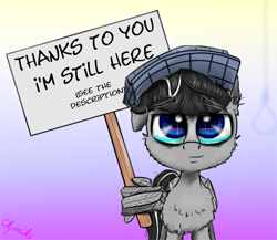 Size: 1250x1086 | Tagged: safe, artist:chopsticks, oc, oc only, oc:chopsticks, pegasus, pony, cheek fluff, chest fluff, cute, ear fluff, feels, hat, heartwarming, looking at you, male, noose, ocbetes, sign, solo, teary eyes, text, wholesome, wing hands, wings