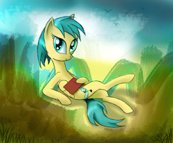 Size: 2699x2222 | Tagged: safe, artist:vunlinur, oc, oc only, oc:holiday dreams, pegasus, pony, book, female, high res, solo