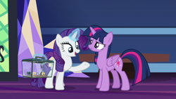 Size: 1920x1080 | Tagged: safe, screencap, rarity, twilight sparkle, alicorn, pony, spider, star spider, g4, the last problem, library, twilight sparkle (alicorn), twilight's castle, twilight's castle library