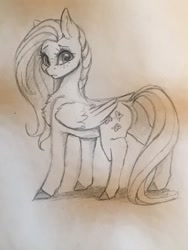 Size: 768x1024 | Tagged: safe, artist:miokomata, fluttershy, pegasus, pony, g4, butt, cute, female, freckles, freckleshy, looking at you, mare, monochrome, pencil drawing, plot, shyabetes, solo, traditional art