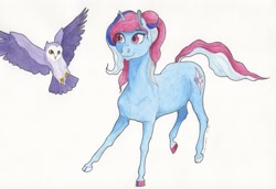 Size: 3007x2073 | Tagged: safe, artist:lady-limule, oc, oc only, bird, earth pony, owl, pony, colored hooves, earth pony oc, female, flying, high res, mare, smiling, traditional art
