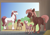 Size: 3508x2480 | Tagged: safe, artist:jackiebloom, princess celestia, oc, earth pony, pony, g4, cewestia, colt, female, filly, high res, male, mare, stallion, younger