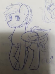 Size: 720x960 | Tagged: safe, artist:silentwolf-oficial, oc, oc only, pegasus, pony, chest fluff, grayscale, lineart, male, monochrome, pegasus oc, raised hoof, solo, stallion, traditional art, wings