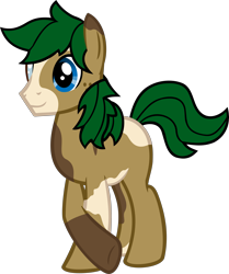 Size: 4033x4817 | Tagged: safe, artist:tales-fables, oc, oc only, oc:swift shade, earth pony, pony, absurd resolution, male, simple background, solo, stallion, transparent background