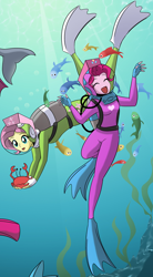 Size: 1300x2359 | Tagged: safe, artist:smeadows, edit, fluttershy, pinkie pie, crab, dolphin, fish, equestria girls, g4, bubble, cropped, duo, duo female, female, lama scuba gear, scuba gear, seaweed, swimming, underwater, wetsuit