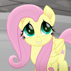 Size: 1080x1080 | Tagged: safe, screencap, fluttershy, pegasus, pony, rainbow roadtrip, cropped, cute, female, mare, shyabetes, solo