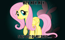 Size: 1280x800 | Tagged: safe, fluttershy, pony, .mov, shed.mov, g4, adoracreepy, caption, creepy, cute, cutie mark background, fat albert and the cosby kids, hey hey hey, looking at you, meme, raised hoof, reference, shyabetes, smiling, solo, stay out of my shed, text