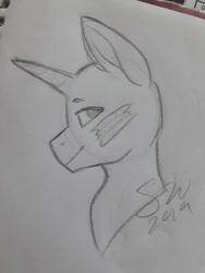 Size: 720x960 | Tagged: safe, artist:silentwolf-oficial, oc, oc only, pony, bald, bust, lineart, signature, solo, traditional art