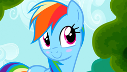 Size: 1920x1080 | Tagged: safe, screencap, rainbow dash, pegasus, pony, g4, the mysterious mare do well, blush sticker, blushing, cute, dashabetes, smiling