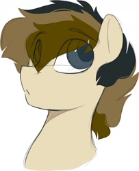 Size: 1183x1460 | Tagged: safe, artist:crimmharmony, oc, oc only, oc:115, pony, bust, eye clipping through hair, eyebrows, eyebrows visible through hair, male, simple background, solo, stallion, white background