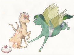 Size: 2900x2161 | Tagged: safe, artist:lady-limule, oc, oc only, oc:chicken wings, pegasus, pony, bandage, high res, pegasus oc, traditional art, wings