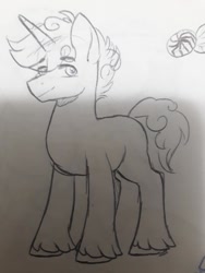 Size: 720x960 | Tagged: safe, artist:silentwolf-oficial, oc, oc only, oc:mint star, pony, unicorn, horn, lineart, male, solo, stallion, traditional art, unicorn oc, unshorn fetlocks