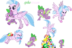 Size: 6399x4288 | Tagged: safe, edit, silverstream, spike, dragon, hippogriff, g4, female, gem, looking at you, male, ship:spikestream, shipping, simple background, straight, stuffed, stuffed belly, vector, white background, winged spike, wings